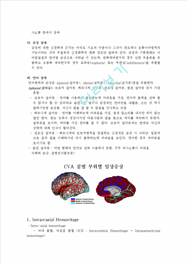 영역별 뇌 기능 및 증상   (6 )
